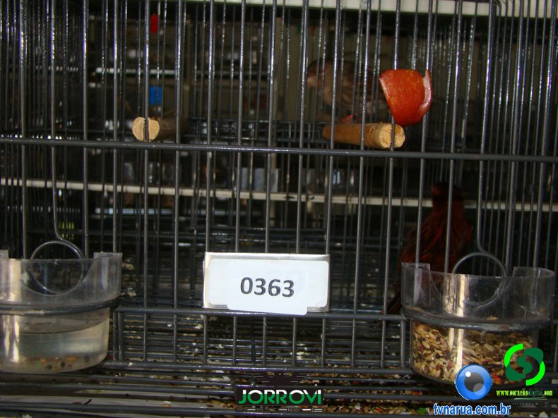 DSC00665.jpg