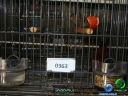 DSC00665.jpg