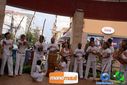 DSC00076.jpg
