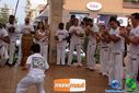 DSC00110.jpg