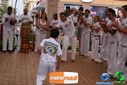 DSC00116.jpg