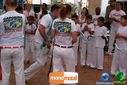 DSC00164.jpg
