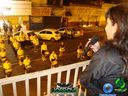 DSC08293.jpg