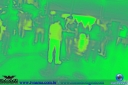 DSC01230.jpg