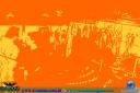 DSC01239.jpg