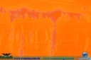 DSC01241.jpg