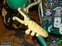 DSC02764.jpg