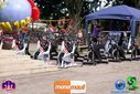 DSC00142.jpg