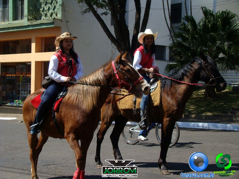 DSC00729.jpg