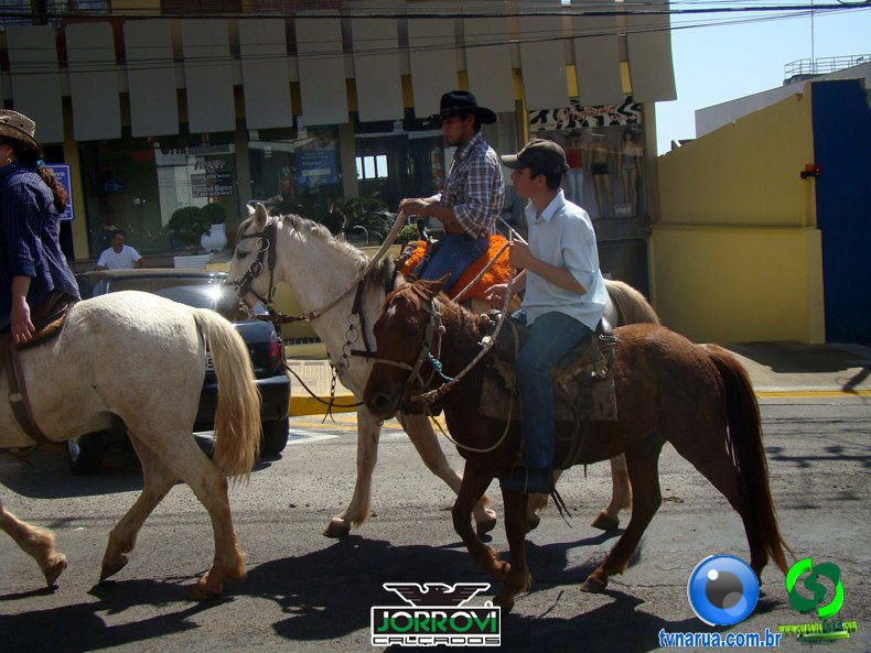 DSC00780.jpg