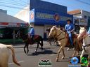 DSC00492.jpg