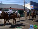DSC00504.jpg