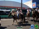 DSC00517.jpg