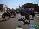 DSC00536.jpg