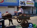 DSC00539.jpg
