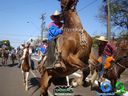 DSC00551.jpg