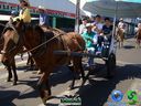 DSC00558.jpg