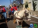DSC00584.jpg