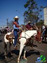 DSC00600.jpg