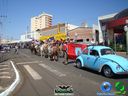 DSC00709.jpg