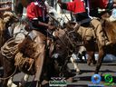 DSC00723.jpg