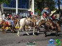 DSC00724.jpg