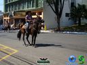 DSC00727.jpg