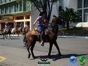 DSC00728.jpg
