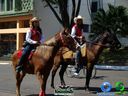 DSC00729.jpg