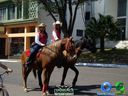 DSC00730.jpg