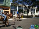 DSC00742.jpg