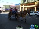 DSC00748.jpg
