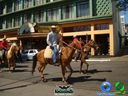 DSC00750.jpg