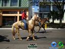 DSC00751.jpg
