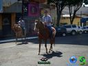 DSC00765.jpg