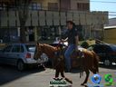 DSC00774.jpg