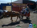 DSC00784.jpg