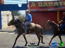 DSC00786.jpg