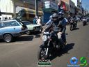 DSC00843.jpg