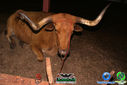 DSC07762.jpg