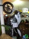 DSC01323.jpg