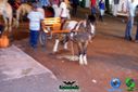 DSC02055.jpg