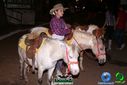 DSC02075.jpg