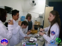 DSC09635.jpg
