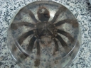 DSC02022.JPG