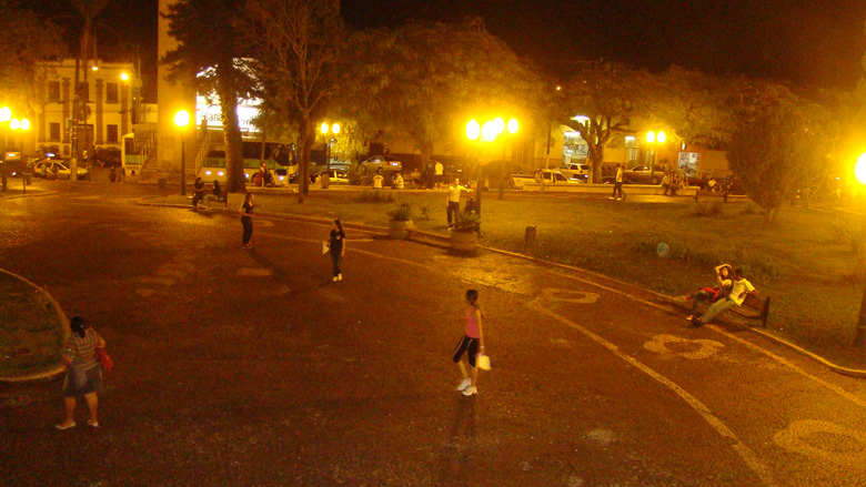 DSC08402.jpg