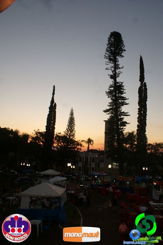 DSC07264.jpg