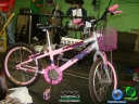 DSC00433.jpg