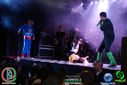 DSC09176.jpg