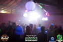DSC02288.jpg